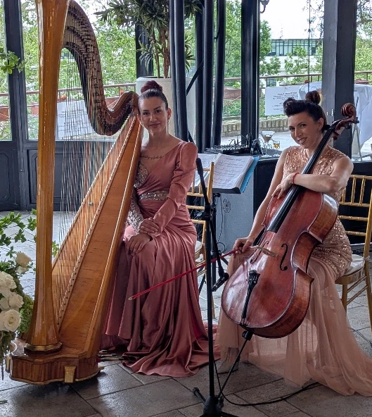Harfa i violončelo