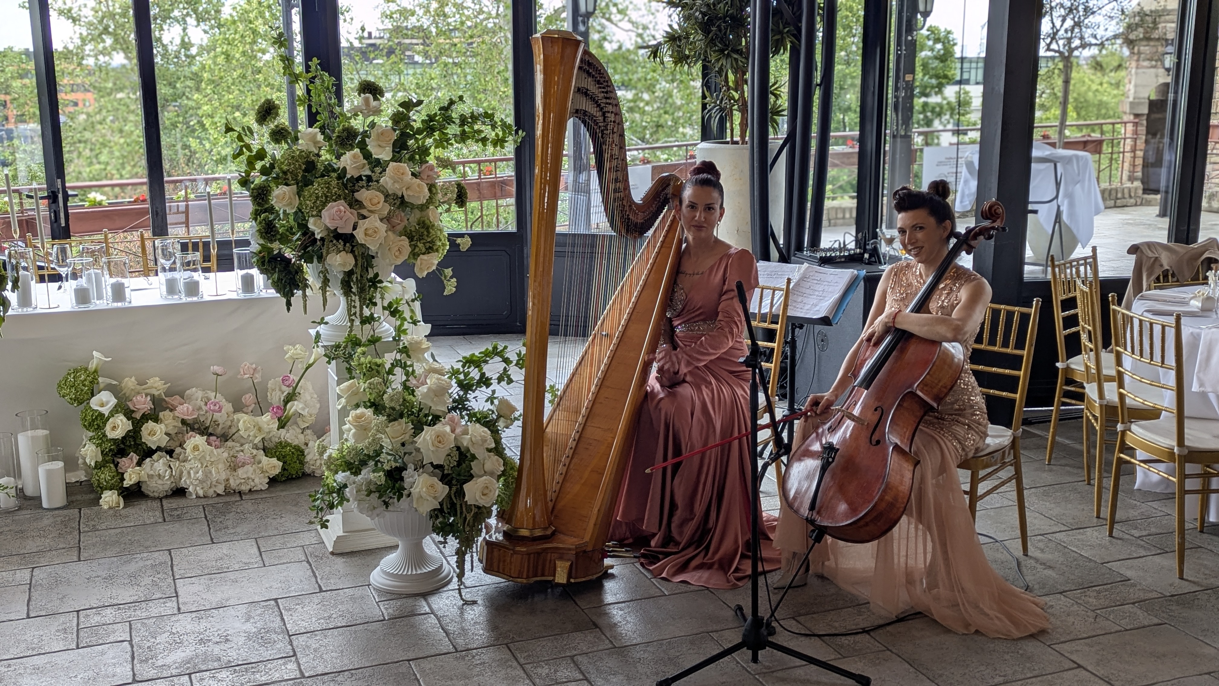 Harfa i violončelo